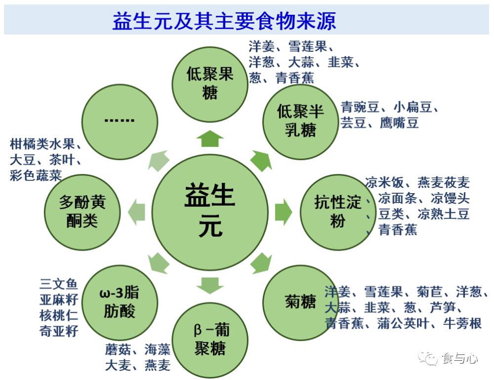 益生元含量最高的20种常见食物