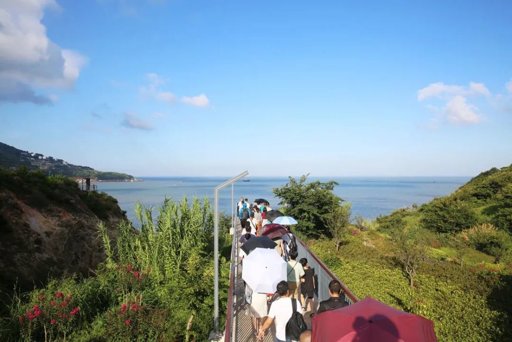 惊艳!苍南私藏的这几处绝美海景,这个夏天必须走一趟!