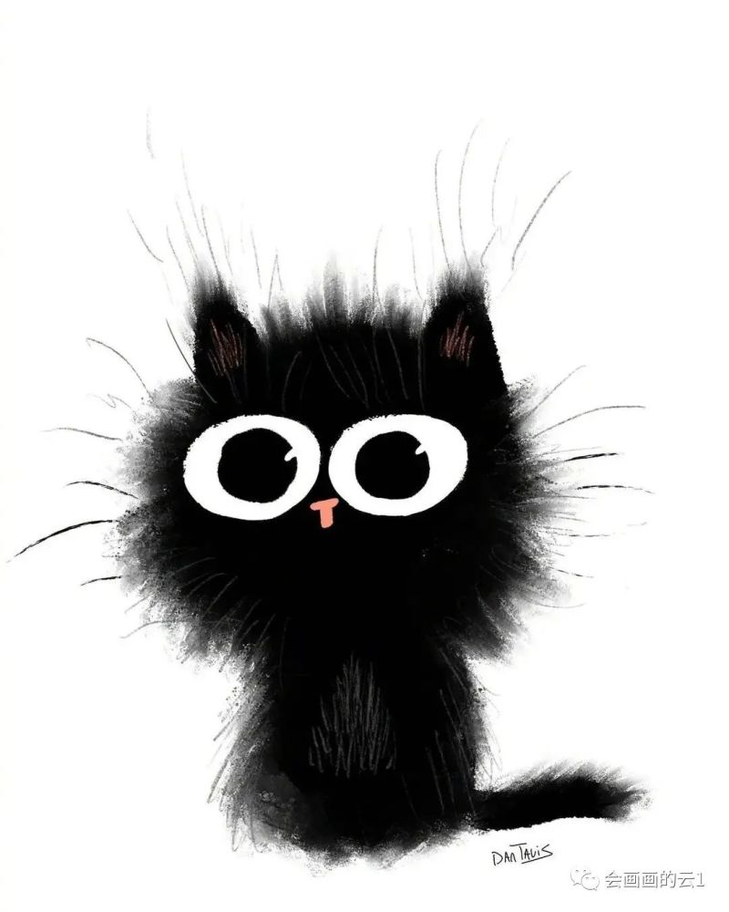 可爱的小黑猫,太萌了