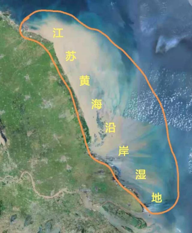 它北起灌河口附近,南到长江口,几乎囊括了江苏大部分海岸线