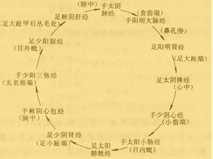 最全的十二经络要穴,挺全的,收藏了吧