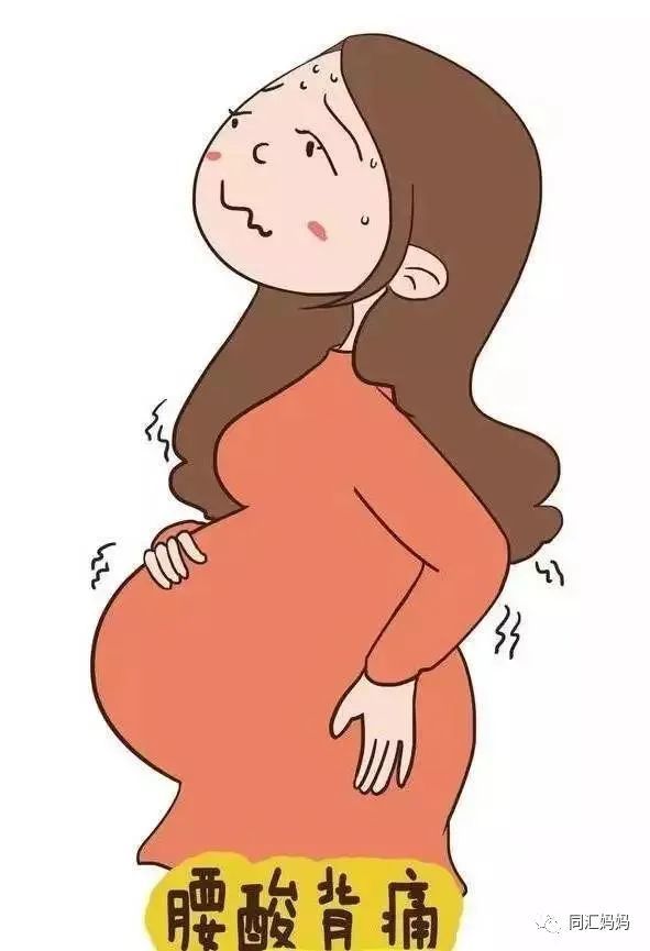孕期腰痛让孕妈妈苦不堪言!