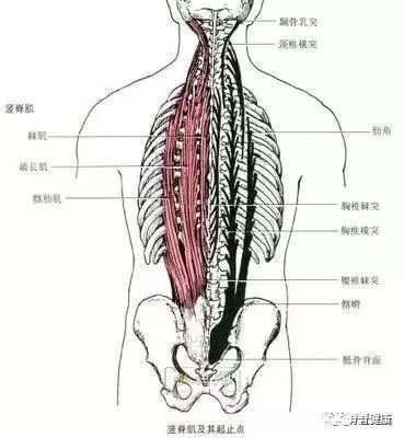 家长一时疏忽,三岁女孩因脊柱侧弯惨遭