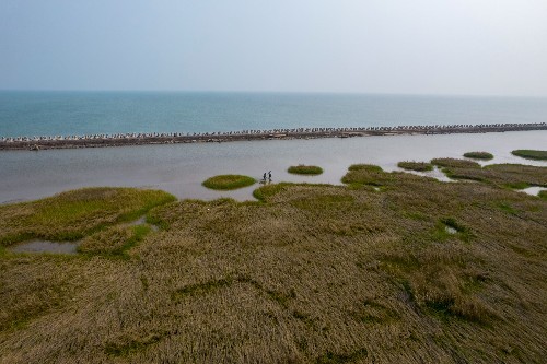 东海县有多少人口_东海这么美,不加入国家卫生城市和全国文明城市,简直太可(2)