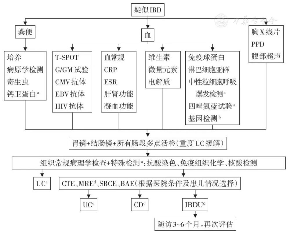 思维导图之炎症性肠病