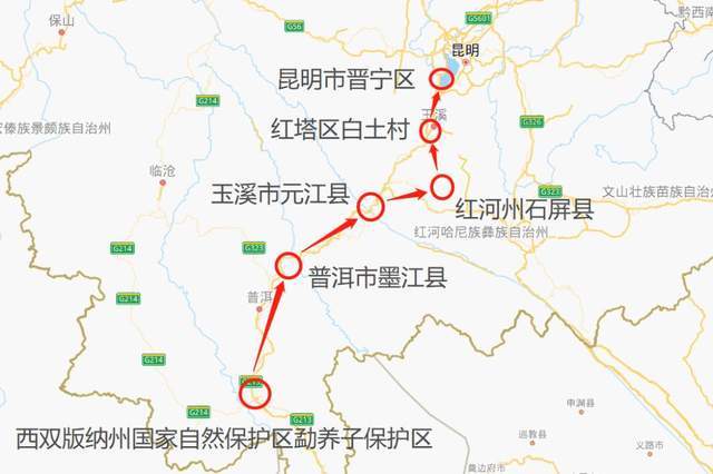 今年发生的老虎下山和大象迁徙等事件,说明生态环境怎样的变化?