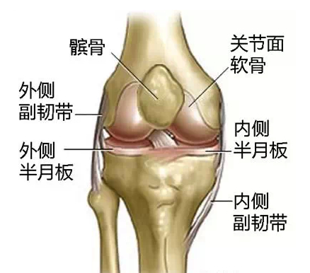 膝盖疼髌骨软化,教你正确的处理方式