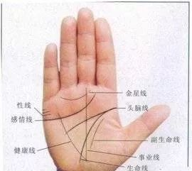 几种代表财富的掌纹,你有吗?