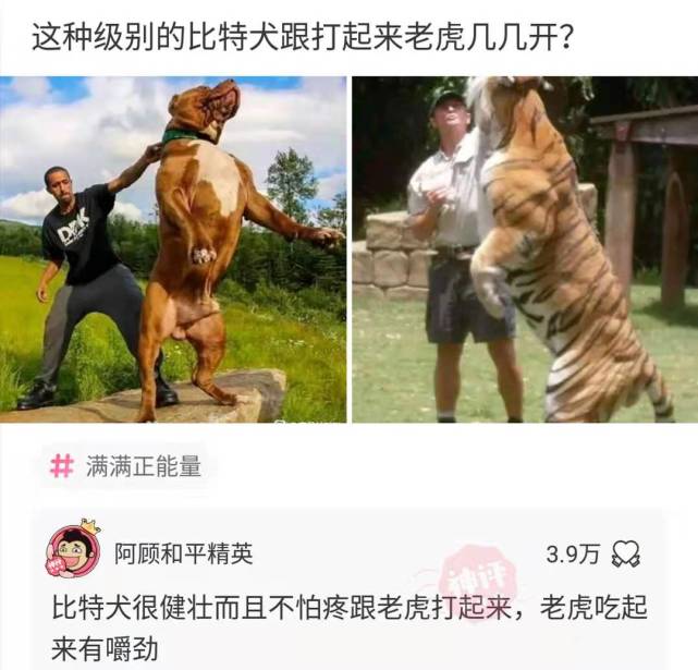 神回复:暗恋的女生给我发的自拍,请问她什么意思?