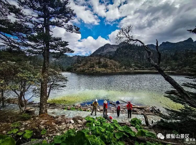 凉山州螺髻山旅游景区管理局 2021年6月17日 美