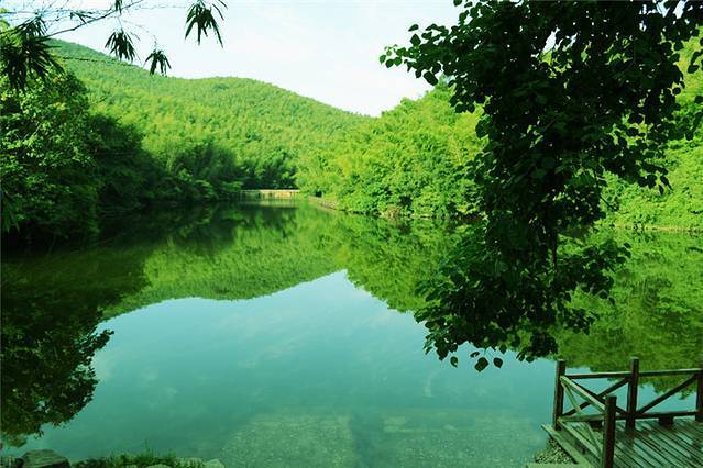 石塘竹海:避暑好去处