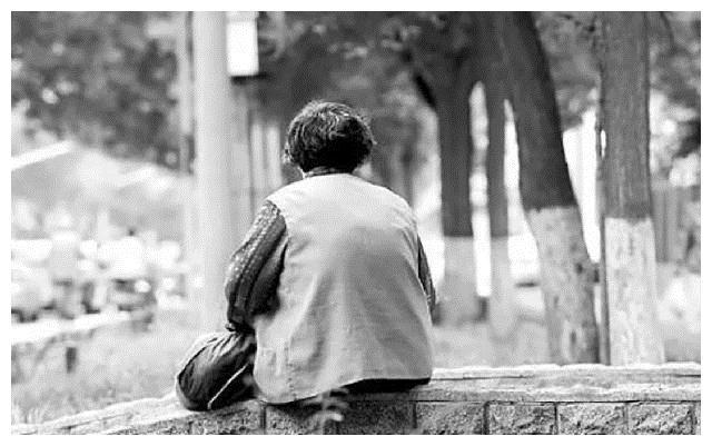 白岩松一针见血谈养老 未来不能光靠孩子,要为自己预留一份尊严