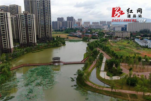 盛夏时节,道县绍基文化主题公园内,人工湖里的睡莲,荷莲竞相开放,与