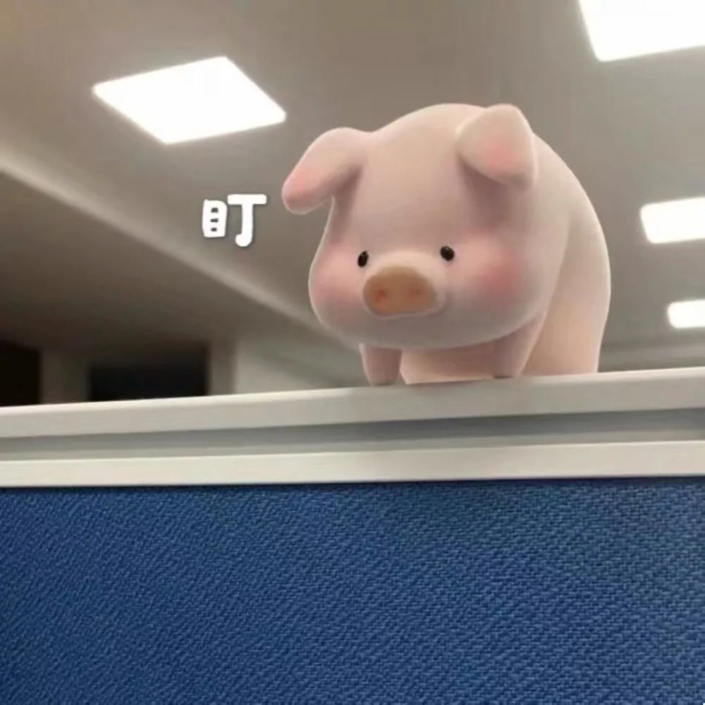 可爱猪猪头像 想做一个 只记得快乐和知识点的人