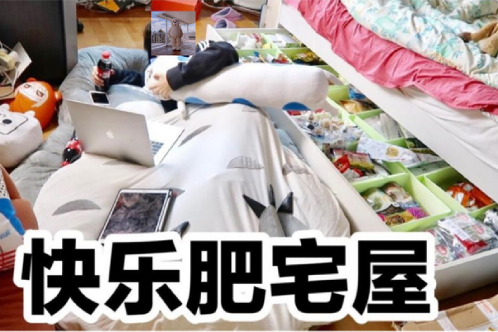 放弃奋斗, 对社会失望,对人生无望,实在无法与我国的躺平一族相提并论