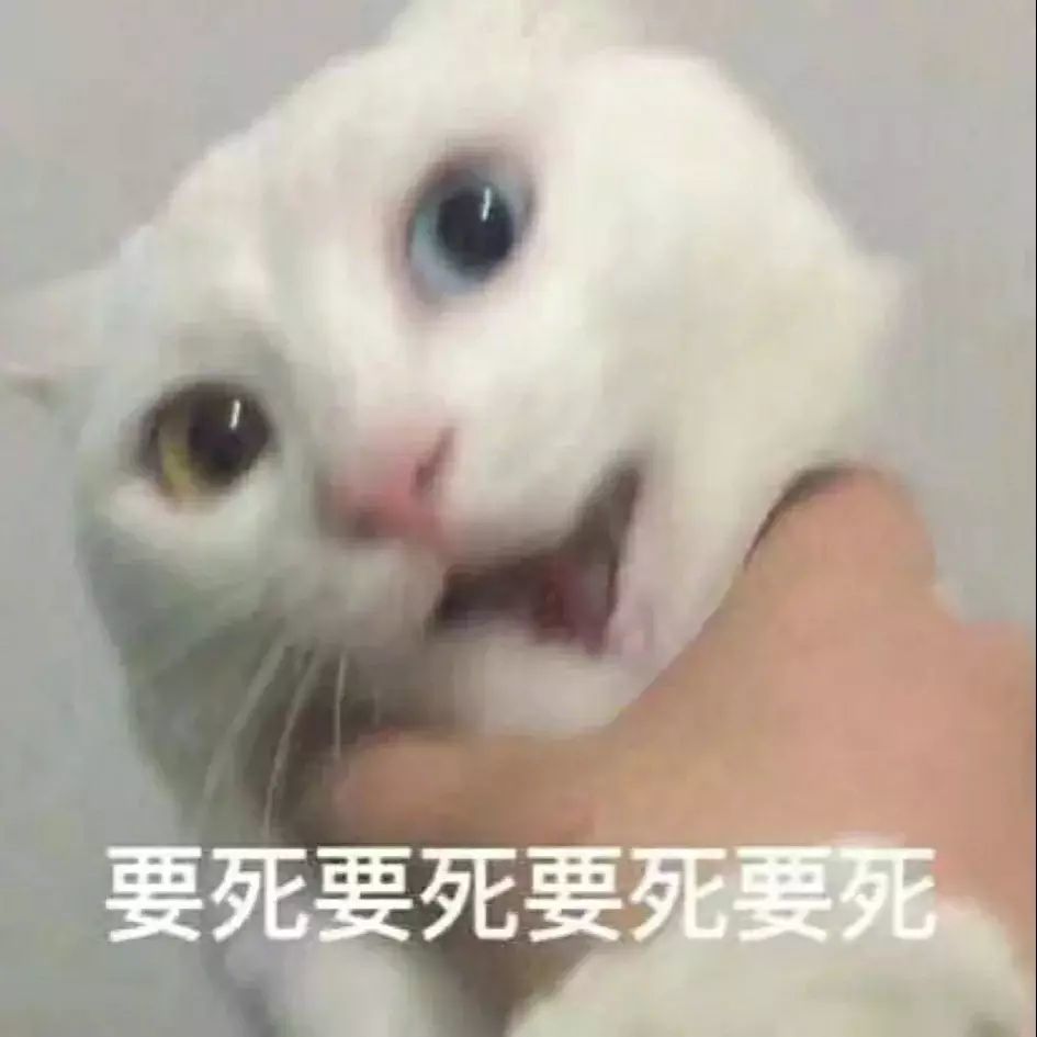 表情包~你吓到我的牛马了