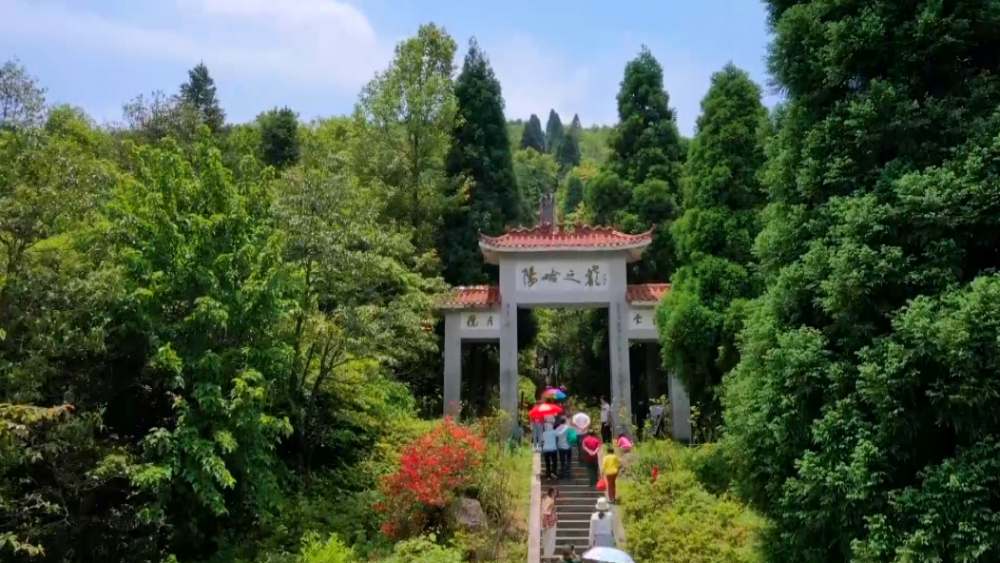 登临阳岭之巅,一览山间云海,阳明山的景色怎一个美字了得!