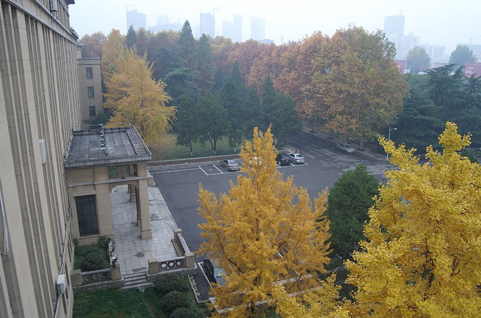 武汉大学在全国的排名_武汉大学(3)