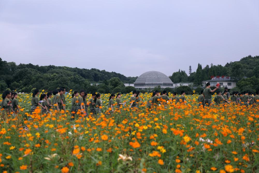 湖南省植物园正式更名:盛放的向日葵,绣球花和玫瑰月季等你来观赏