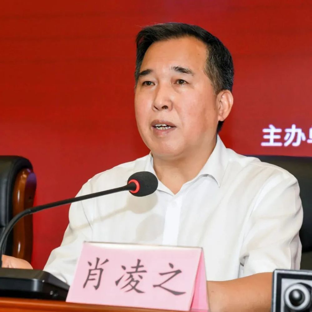 湖南省委宣传部副部长,文明办主任肖凌之发布新闻
