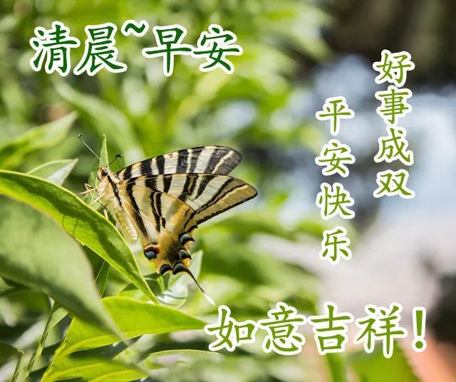 2021微信清晨简短问候语短信周六清晨的早安问候祝福语图片