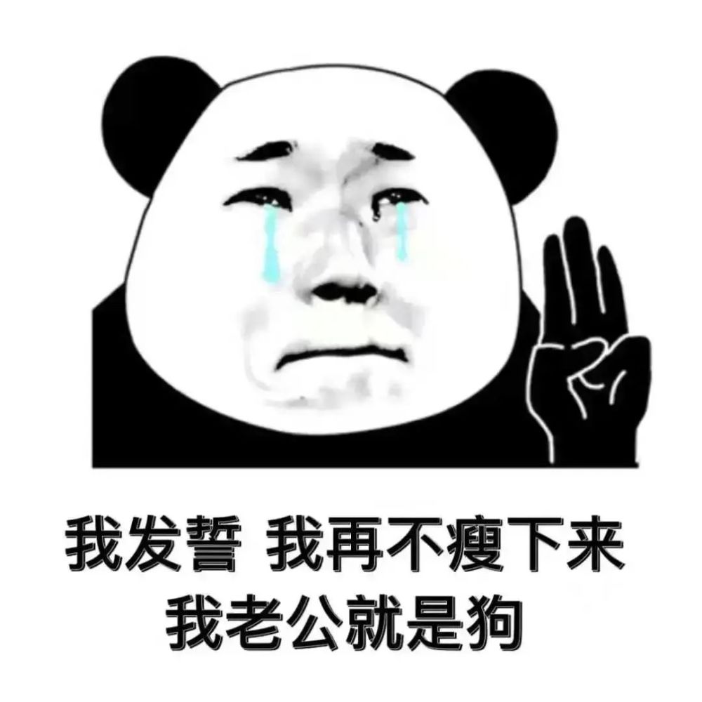 表情包我发誓