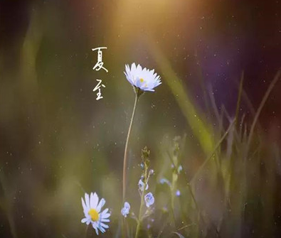 夏至到来的心情说说大全 2021夏至节气发的心情说