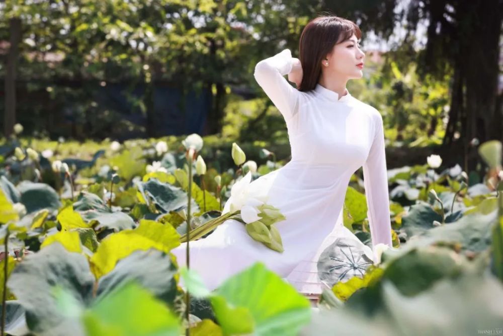 六月荷花季,越南这个地方赚钱哗哗地