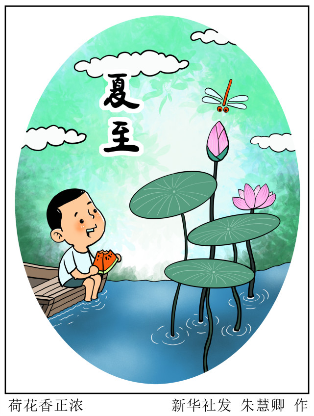 图表漫画二十四节气夏至荷花香正浓