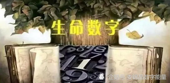 数字能量中为什么有了天医数字还与财富无缘呢