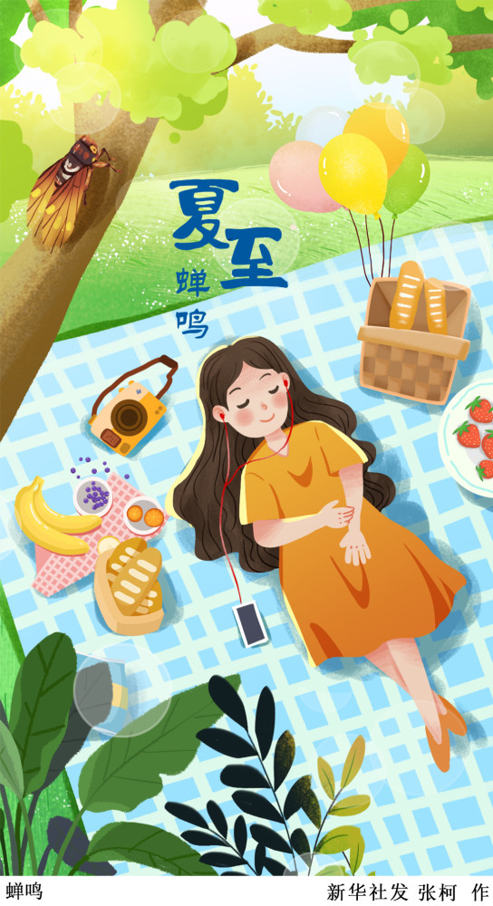 (图表·插画)【二十四节气·夏至】夏至·蝉鸣