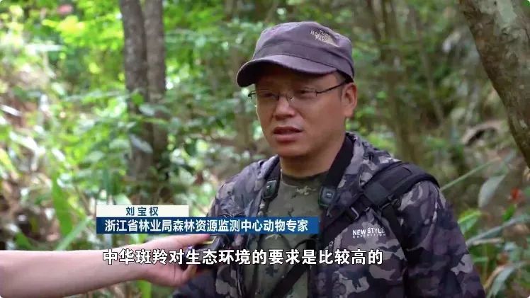 浙江省林业局森林资源监测中心动物专家 刘宝权