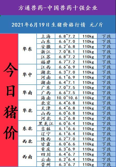 2021年6月19日,今日猪价