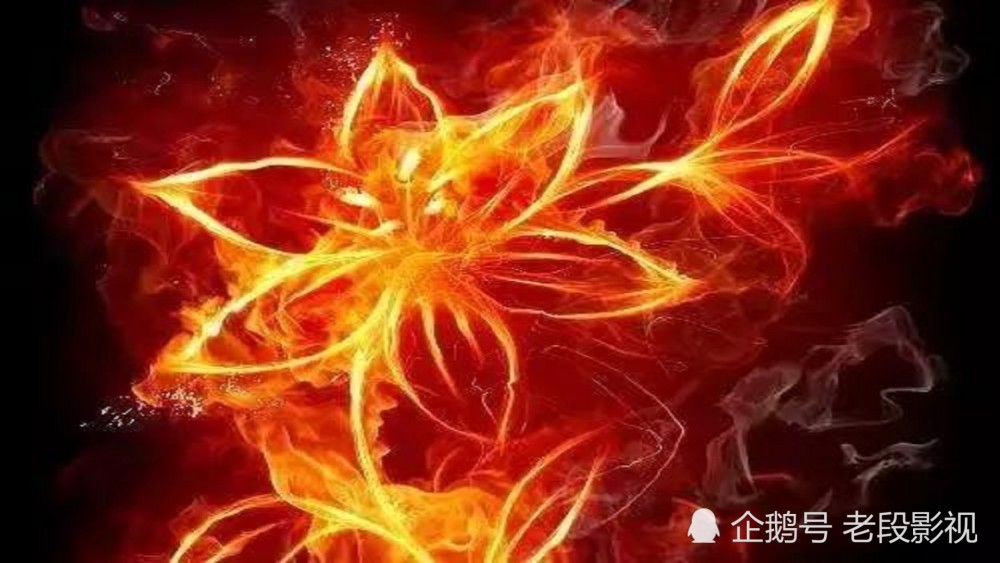 异火的排名_异火榜排名