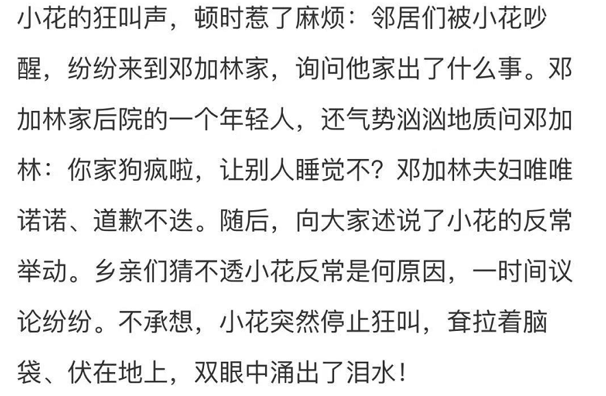 张家爷爷的小花狗简谱_迟来的情话简谱张家旺(3)