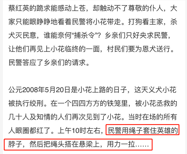 感谢12年前的良知媒体,让我们知道了义犬小花的命运