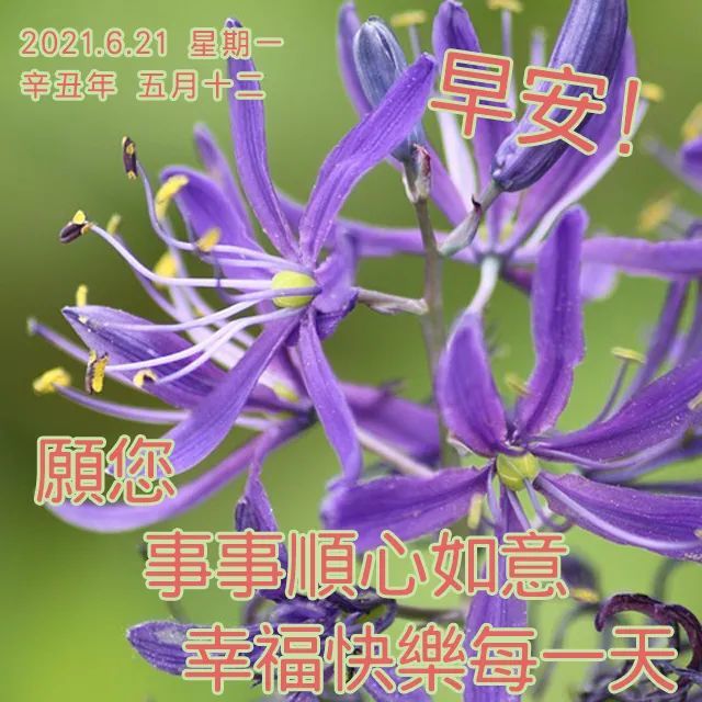 清晨最新早安祝福 早上问候语句子