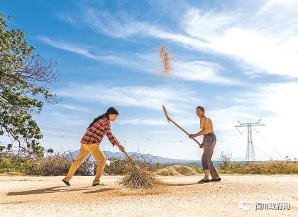 这丰收的场景,记录着劳动人民的幸福生活.(张永平摄)