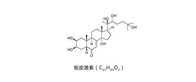 关于露水草提取物(蜕皮激素)的作用