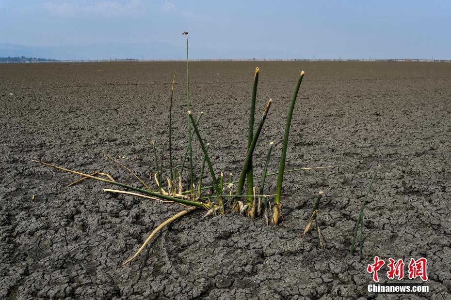 欧洲资本主义萌芽的出现产生_欧洲多地出现饥饿石_关于欧洲地形的叙述正确的是 斯堪的纳维亚半岛西侧