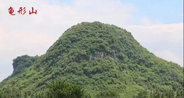 21,金钟:金形山峰,上圆腰较窄而脚大似钟者,称为金钟.