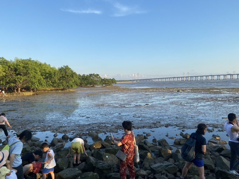 深圳海边旅游景点