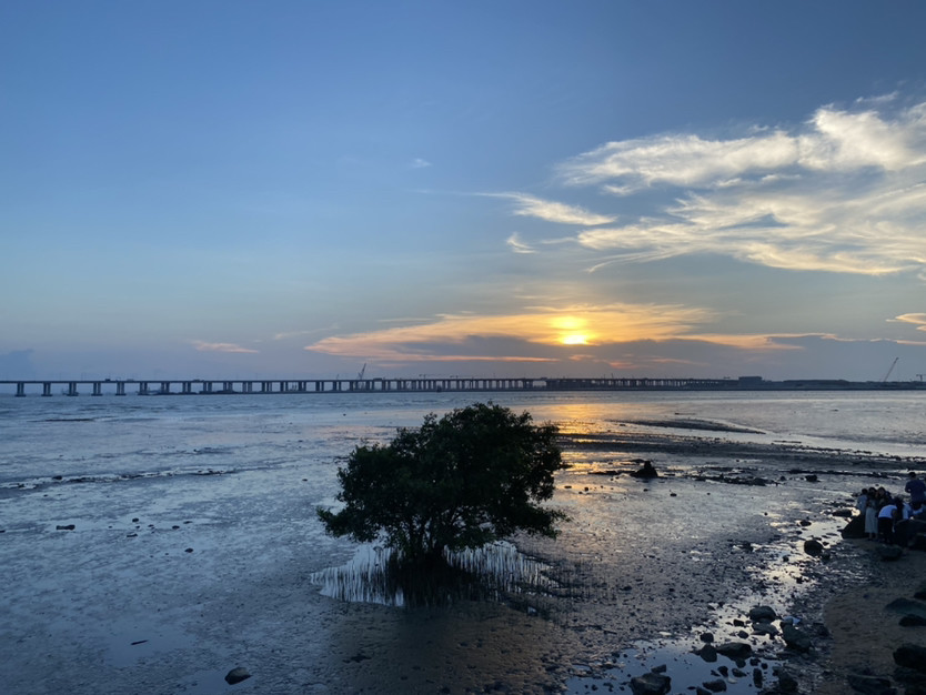 深圳海边旅游景点