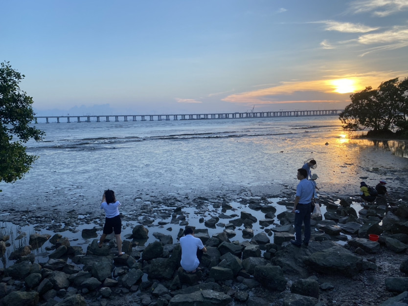 深圳海边旅游景点