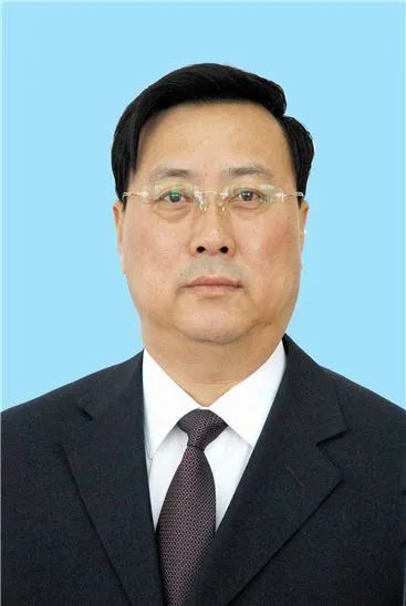双鸭山市委原常委,政法委原书记孙波严重违纪违法被和
