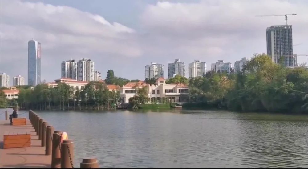 史上最惨流拍上热搜深圳别墅真的都跑输了
