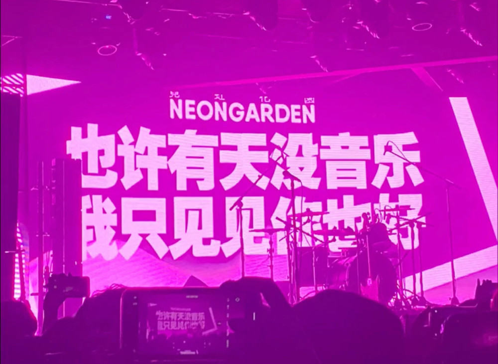 音乐节背景图|你不爱我,我就爱别人
