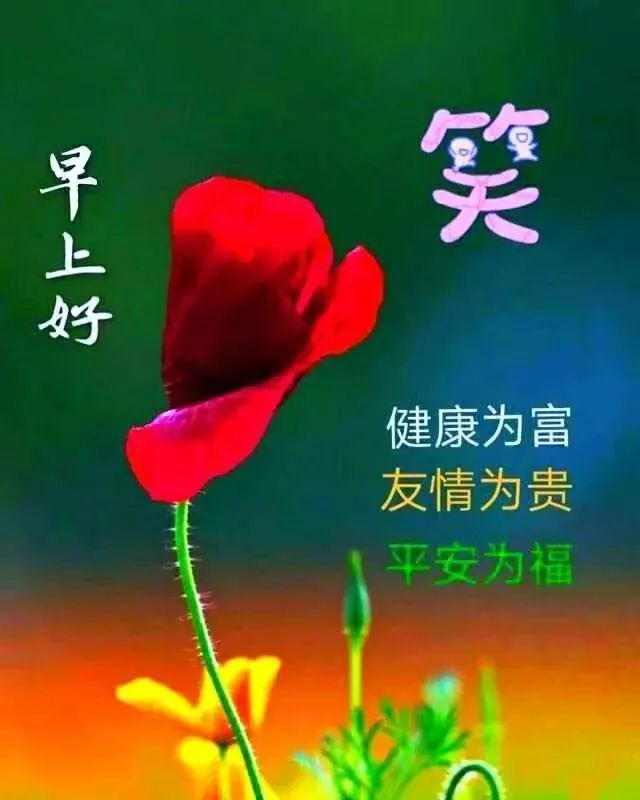 2021年早安祝福语鲜花图片唯美带字,最美早安阳光问候