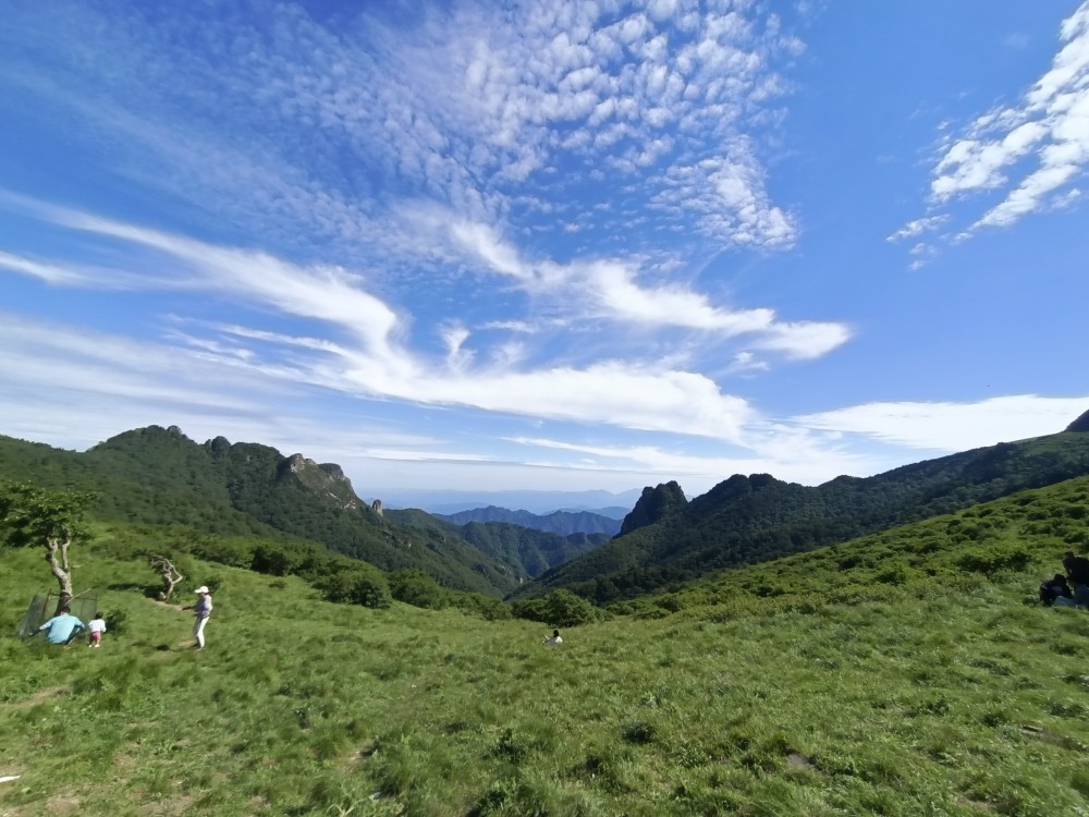 秦岭高山草甸