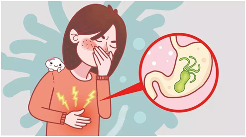 如果经常出现腹胀,腹痛,反酸,恶心等症状,很有可能就被幽门螺杆菌